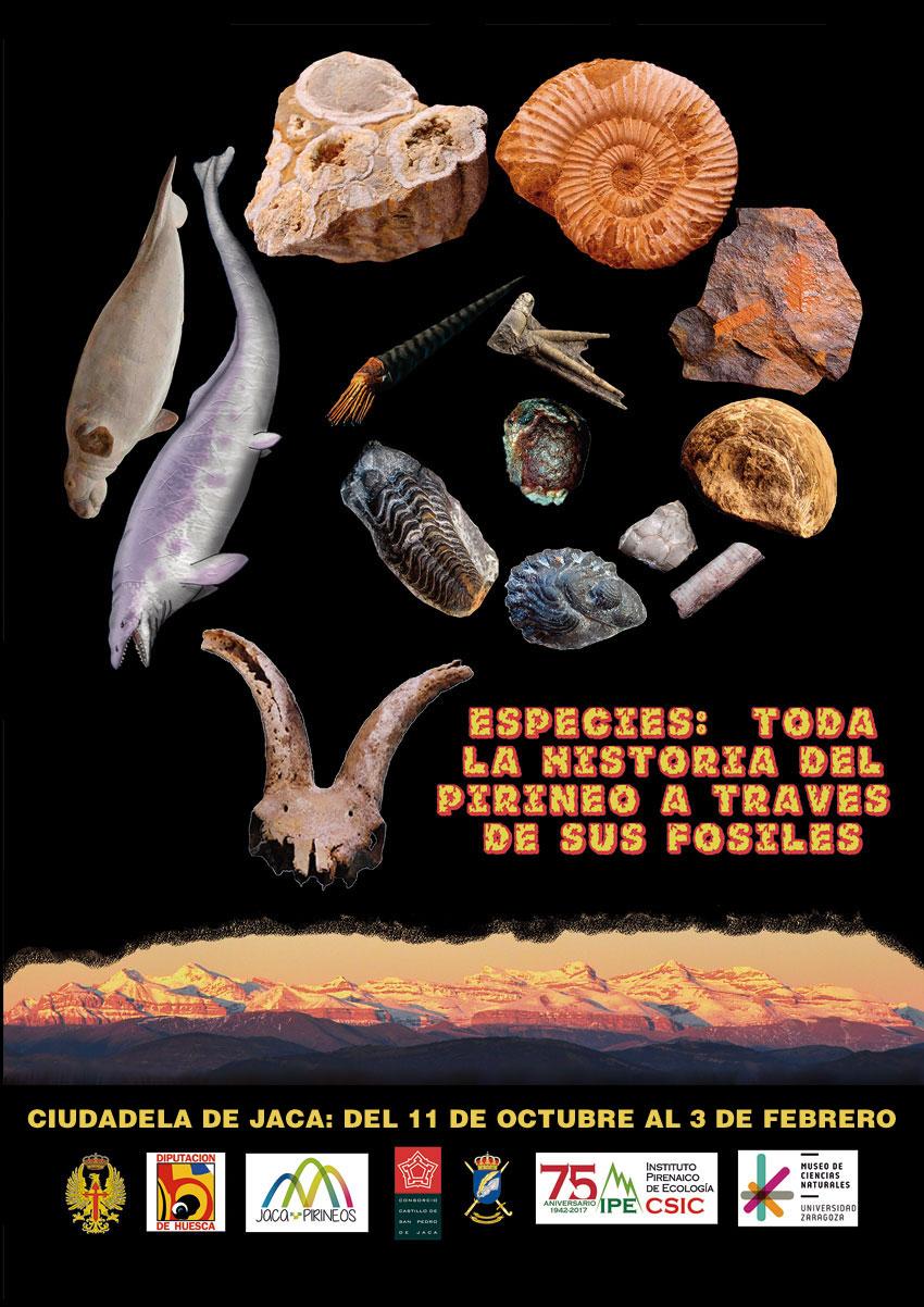 Exposición “Especies. Toda la historia del Pirineo a través de sus fósiles"