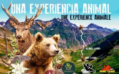 «Una experiencia animal» conoce la fauna de la Jacetania