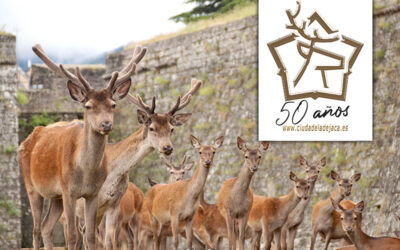 50 aniversario de la llegada de los ciervos a la Ciudadela de Jaca