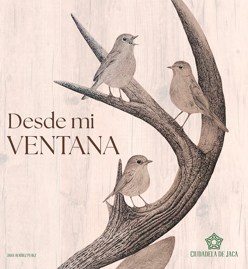 Exposición «Desde mi ventana». Jara Benítez