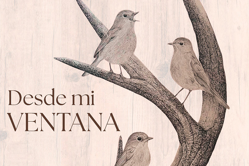 Mesa redonda «Turismo sostenible. Pasado, presente y futuro»